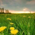 як буде по-українськи